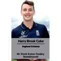Harry Brook Color: England Cricketer - Paperback