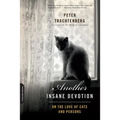 Another Insane Devotion: On the Love of Cats and Persons - Paperback