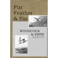 Fur Feather and Fin: Snipe & Woodcock - Paperback