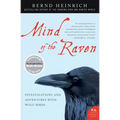 Mind of the Raven: Investigations and Adventures with Wolf-Birds - Paperback