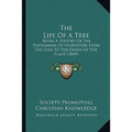 The Life Of A Tree: Being A History Of The Phenomena Of Vegetation From The Seed To The Death Of The Plant (1849) - Paperback