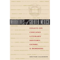 Narratives of Greater Mexico: Essays on Chicano Literary History, Genre, and Borders - Paperback