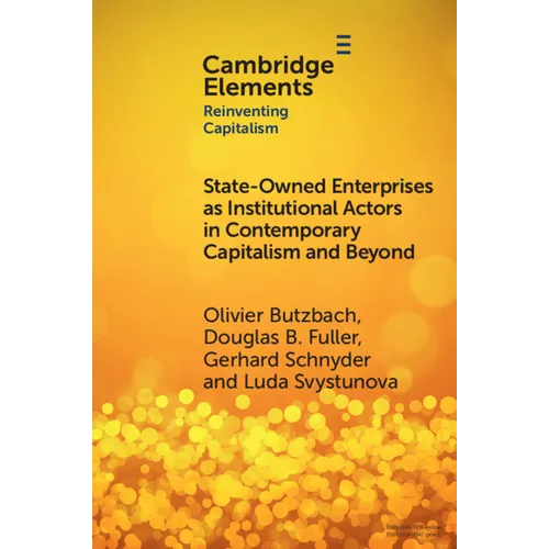 State-Owned Enterprises as Institutional Actors in Contemporary Capitalism and Beyond - Paperback