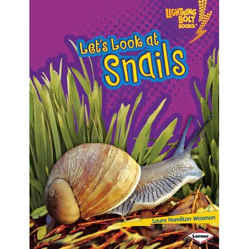 Let's Look at Snails - Paperback