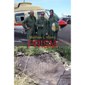Prism - Paperback