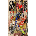 Anamnesis - Paperback