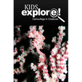 Camouflage In Creatures - Kids Explore: Animal books nonfiction - books ages 5-6 - Paperback