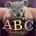 ABC Zooborns! - Board Book