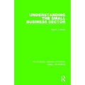 Understanding The Small Business Sector - Paperback