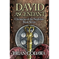 David Ascendant - Paperback