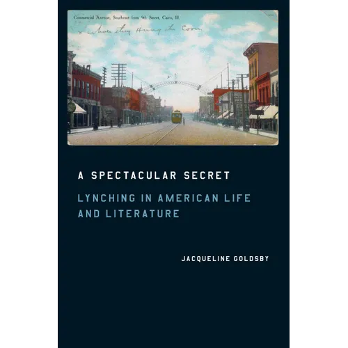 A Spectacular Secret: Lynching in American Life and Literature - Paperback