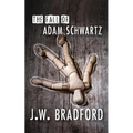 The Fall of Adam Schwartz - Paperback