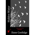 Hidden Water - Paperback
