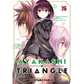 Ayakashi Triangle Vol. 15 - Paperback