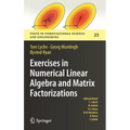 Exercises in Numerical Linear Algebra and Matrix Factorizations - Hardcover