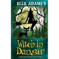 Witch in Danger - Paperback