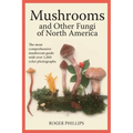 Mushrooms and Other Fungi of North America - Paperback