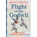 Flight of the Godwit: Tracking Epic Shorebird Migrations - Hardcover