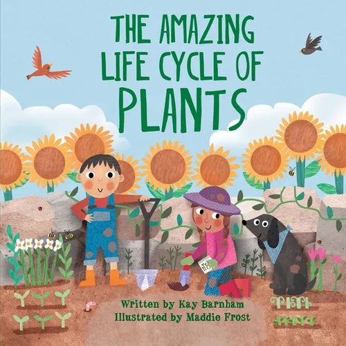 The Amazing Life Cycle of Plants - Hardcover