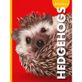 Curious about Hedgehogs - Library Binding