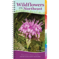 Wildflowers of the Northeast: Your Way to Easily Identify Wildflowers - Spiral