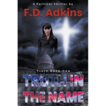 Truth in the Name: A Political Thriller - Paperback