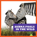 Zebra Foals in the Wild - Library Binding