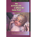 The Afterlife Is Where We Come from: The Culture of Infancy in West Africa - Paperback