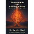 Breadcrumbs and Burning Bushes: Tracing God's Clues and Encounters - Paperback