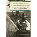 African American Life in the Georgia Lowcountry: The Atlantic World and the Gullah Geechee - Paperback