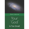 Your 'God': Is Too Small - Paperback