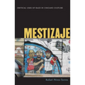 Mestizaje: Critical Uses of Race in Chicano Culture - Paperback