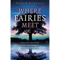 Pagan Portals - Where Fairies Meet: Parallels Between Irish and Romanian Fairy Traditions - Paperback