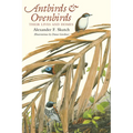 Antbirds and Ovenbirds: Their Lives and Homes - Paperback