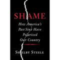 Shame: How America's Past Sins Have Polarized Our Country - Hardcover