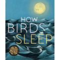 How Birds Sleep - Hardcover