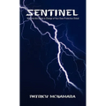 Sentinel: Become the Agent in Charge of Your Own Protection Detail - Paperback