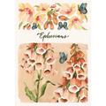 ESV Scripture Journal: Ephesians (Artwork by Ruth Chou Simons) (Paperback) - Paperback