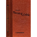 The Journal of David Q. Little - Paperback