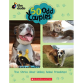 50 Odd Couples (the Dodo) - Paperback