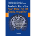 Forebrain Atlas of the Short-Tailed Fruit Bat, Carollia Perspicillata: Prepared by the Methods of Nissl and Neun Immunohistochemistry - Spiral