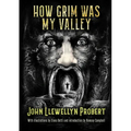 How Grim Was My Valley - Paperback