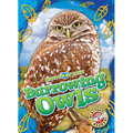 Burrowing Owls - Library Binding