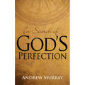 In Search of God's Perfection - Paperback