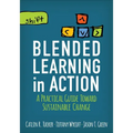 Blended Learning in Action: A Practical Guide Toward Sustainable Change - Paperback