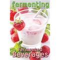 Fermenting vol. 2: Fermented Beverages - Paperback