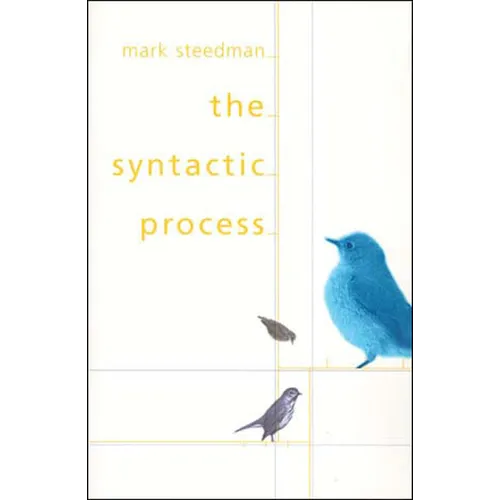 The Syntactic Process - Paperback