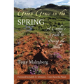Green Grass in the Spring: A Cowboy's Guide to Saving the World - Paperback