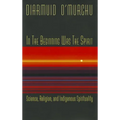In the Beginning Was the Spirit: Science, Religion, and Indigenous Spirituality - Paperback