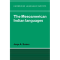 The Mesoamerican Indian Languages - Paperback